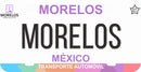 Thick Aluminum License Plate for Morelos (White)