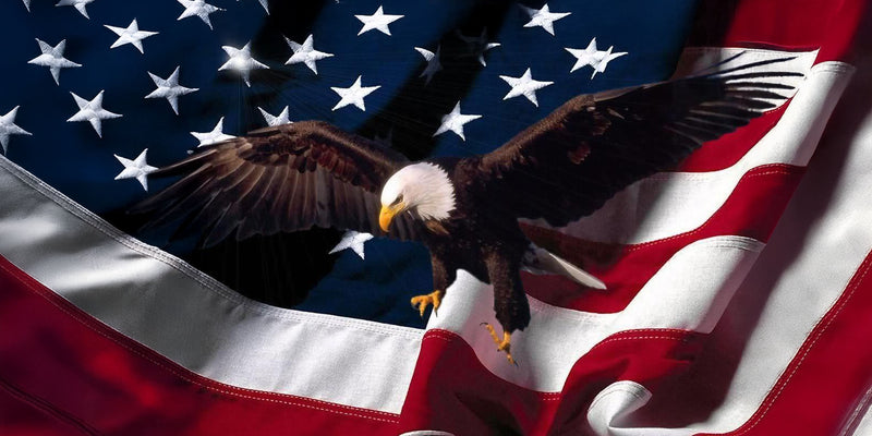 Thick Aluminum License Plate "Flag, Eagle"