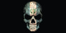 Thick Aluminum License Plate "Skull, Guatemala Flag"