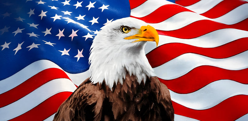 Thick Aluminum License Plate "Eagle + Flag"