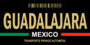 Thick Aluminum License Plate for Guadalajara